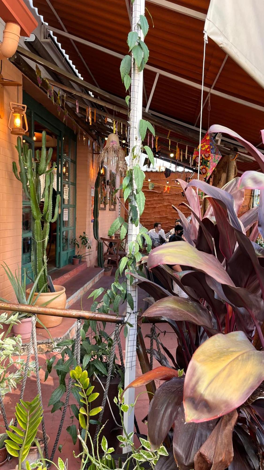 Cacau Hostel Cafe - Goiania — Photos 2